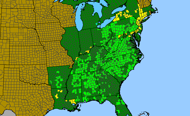 The range of Chamaelirium luteum